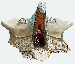 drako_miko_2.gif