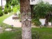 Slovensko-Velky-Meder-10614.jpg